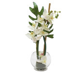 Декор.цветы Орхидея белая в стекл.вазе