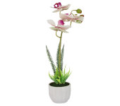 Декоративные цветы Орхидея бело-сиреневая в керам.вазе