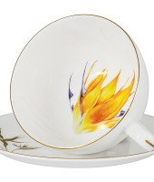 Чашка с блюдцем Strelitzia в подарочной упаковке