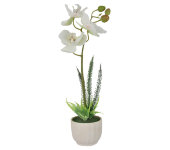 Декоративные цветы Орхидея белая в керам.вазе