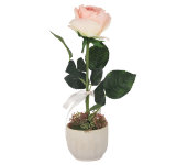 Декоративные цветы Роза св.розовая в керам.вазе