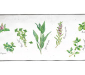 Блюдо прямоугольное Herbarium в подарочной упаковке