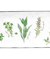 Блюдо прямоугольное Herbarium в подарочной упаковке