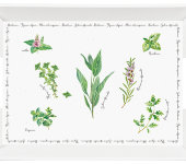Поднос с ручками Herbarium без инд.упаковки