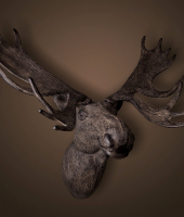 Голова лося , ROOMERS