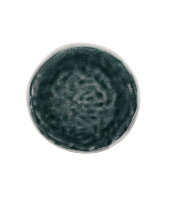 Тарелка E667, ROOMERS