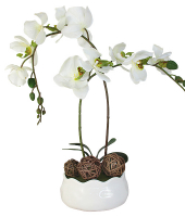 Декоративные цветы Орхидея белаяна керамической подставке