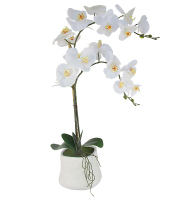 Декоративные цветы Орхидея белая в керамической вазе
