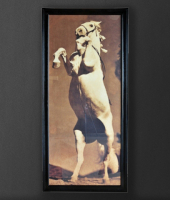 Картина Лошадь Стенли , ROOMERS