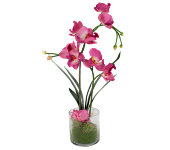 Декоративные цветы Орхидея бордо в стеклянной вазе