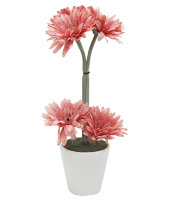 Декор.цветы Герберы св.коралловые в керам.вазе