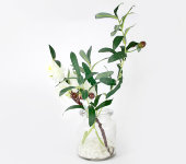 Декоративные цветы Сакура белая и ветвь оливы в стекл.вазе