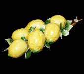 Декоративная веточка "Лимоны", Artigiano Capodimonte 