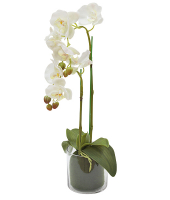 Декор.цветы Орхидея белая в стекл.вазе