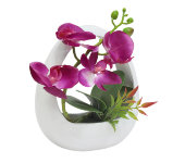 Декоративные цветы  Орхидея тём.сиреневая в керам.вазе