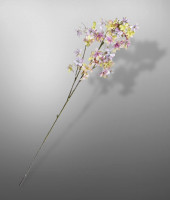 Гортензия , SILK-KA