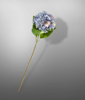 Гортензия , SILK-KA