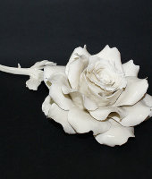 Декоративная роза, Artigiano Capodimonte