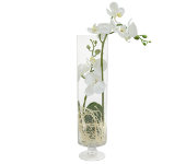 Декоративные цветы Орхидея белая в стекл вазе