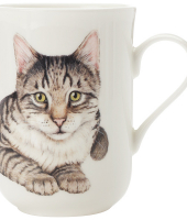 Кружка Европейская короткошерстная в подарочной упаковке