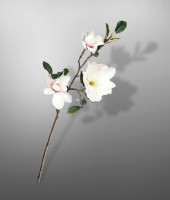 Магнолия , SILK-KA