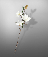 Магнолия , SILK-KA