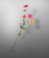 Маргаритка , SILK-KA