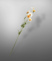 Маргаритка , SILK-KA