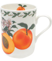 Кружка Абрикос в подарочной упаковке