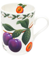 Кружка Слива в подарочной упаковке