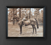 Картина "Мальчик на лошади", Roomers