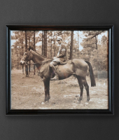 Картина "Мальчик на лошади", Roomers