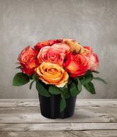 Роза в горшке , SILK-KA