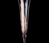 Бокал для шампанского Климт 84076 №12, Top Line /Нагель