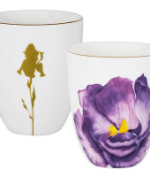 Кружка Iris в подарочной упаковке